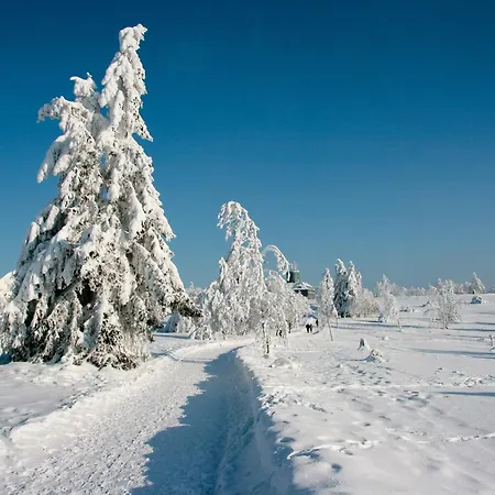 Апартаменти Astenpanorama