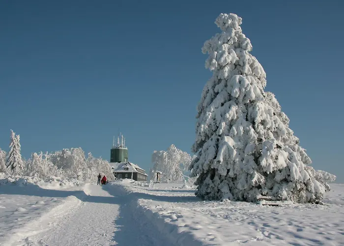 Astenpanorama Apartament *